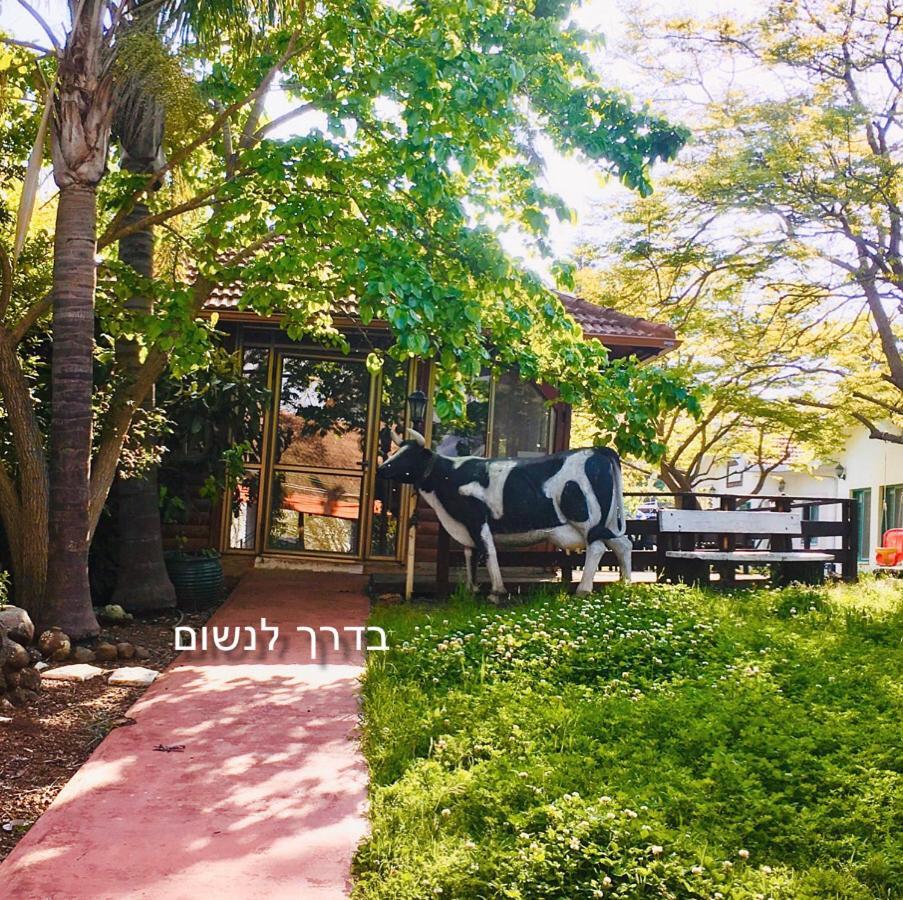אחוזה במטולה Hotel Exterior photo